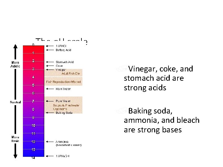 The p. H scale /Vinegar, coke, and stomach acid are strong acids /Baking soda,