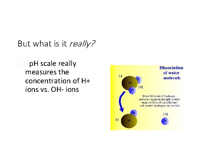 But what is it really? /p. H scale really measures the concentration of H+
