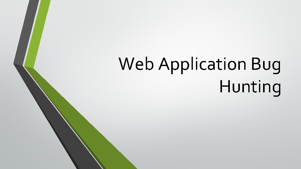 Web Application Bug Hunting 