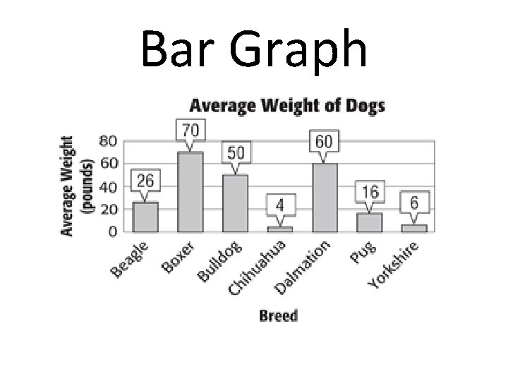 Bar Graph 