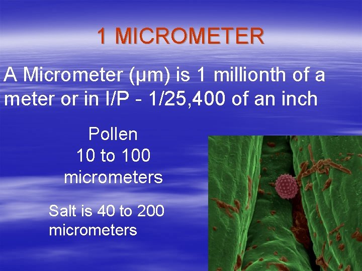 1 MICROMETER A Micrometer (µm) is 1 millionth of a meter or in I/P