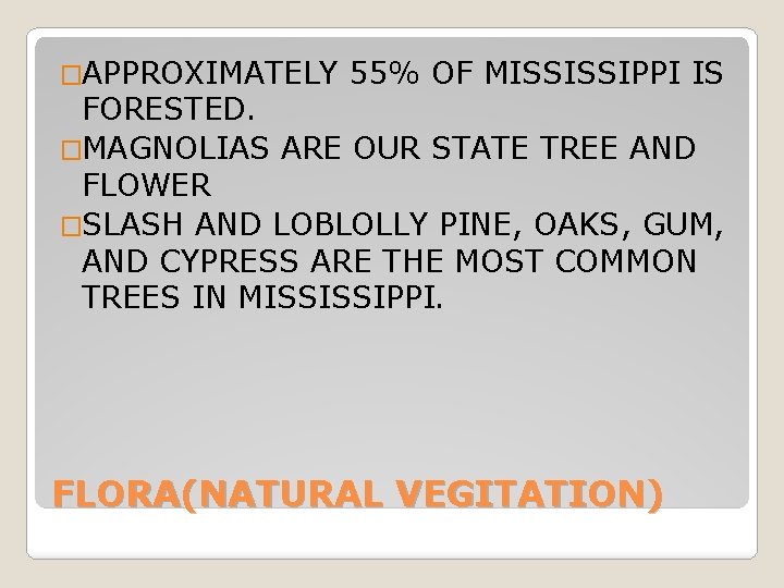 �APPROXIMATELY 55% OF MISSISSIPPI IS FORESTED. �MAGNOLIAS ARE OUR STATE TREE AND FLOWER �SLASH �APPROXIMATELY 55% OF MISSISSIPPI IS FORESTED. �MAGNOLIAS ARE OUR STATE TREE AND FLOWER �SLASH