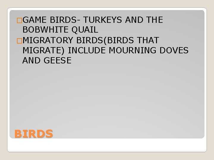 �GAME BIRDS- TURKEYS AND THE BOBWHITE QUAIL �MIGRATORY BIRDS(BIRDS THAT MIGRATE) INCLUDE MOURNING DOVES �GAME BIRDS- TURKEYS AND THE BOBWHITE QUAIL �MIGRATORY BIRDS(BIRDS THAT MIGRATE) INCLUDE MOURNING DOVES