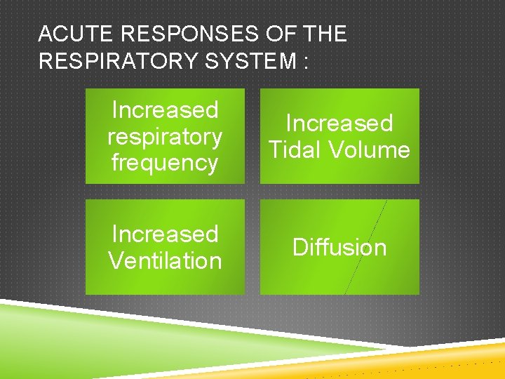 ACUTE RESPONSES OF THE RESPIRATORY SYSTEM : Increased respiratory frequency Increased Tidal Volume Increased ACUTE RESPONSES OF THE RESPIRATORY SYSTEM : Increased respiratory frequency Increased Tidal Volume Increased