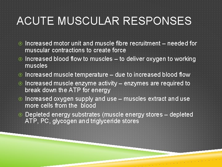 ACUTE MUSCULAR RESPONSES Increased motor unit and muscle fibre recruitment – needed for muscular ACUTE MUSCULAR RESPONSES Increased motor unit and muscle fibre recruitment – needed for muscular