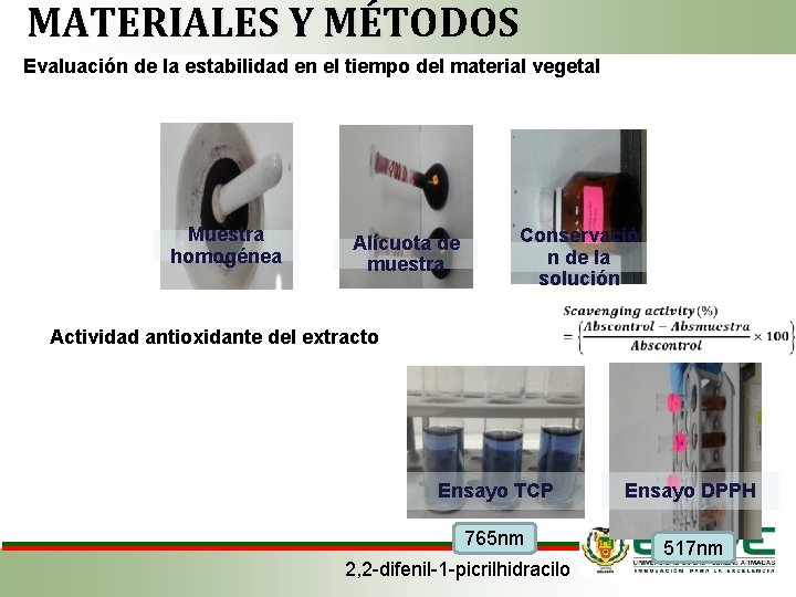 MATERIALES Y MÉTODOS Evaluación de la estabilidad en el tiempo del material vegetal Muestra