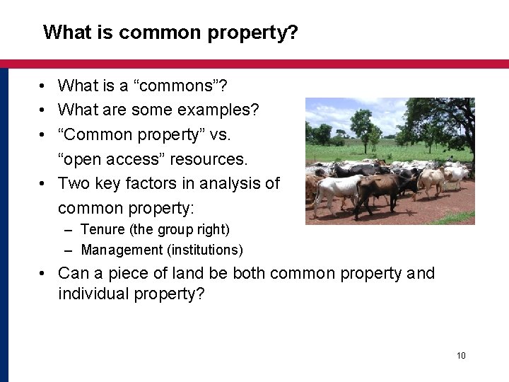 What is common property? • What is a “commons”? • What are some examples?