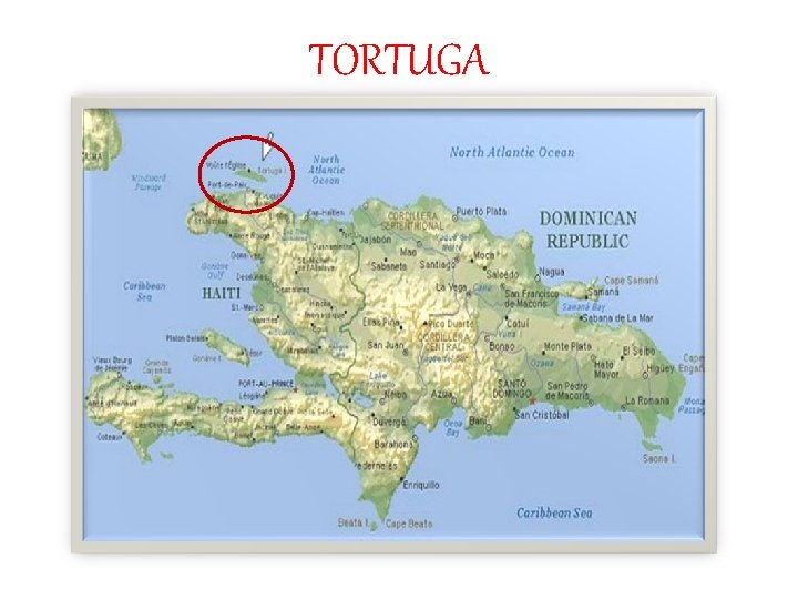 TORTUGA 