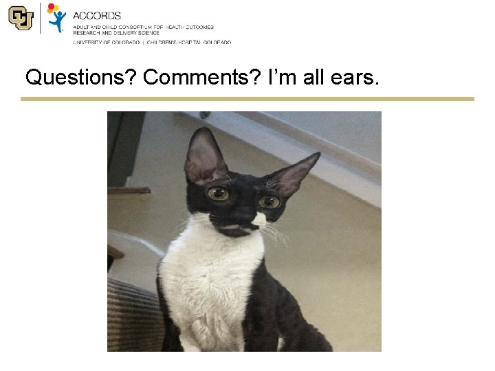 Questions? Comments? I’m all ears. 