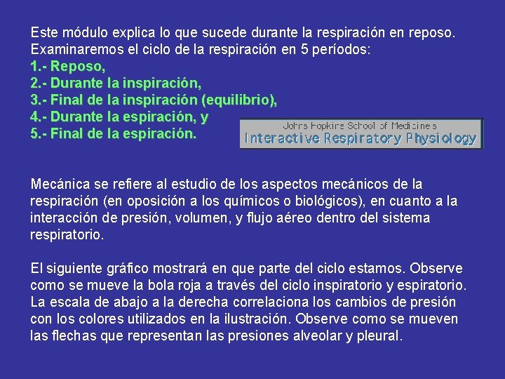 Este módulo explica lo que sucede durante la respiración en reposo. Examinaremos el ciclo