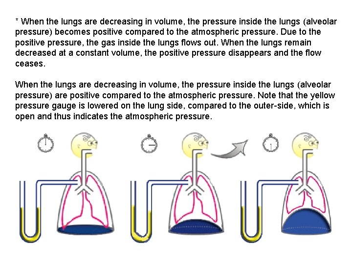 * When the lungs are decreasing in volume, the pressure inside the lungs (alveolar
