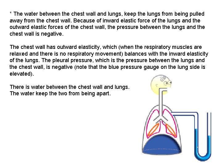* The water between the chest wall and lungs, keep the lungs from being