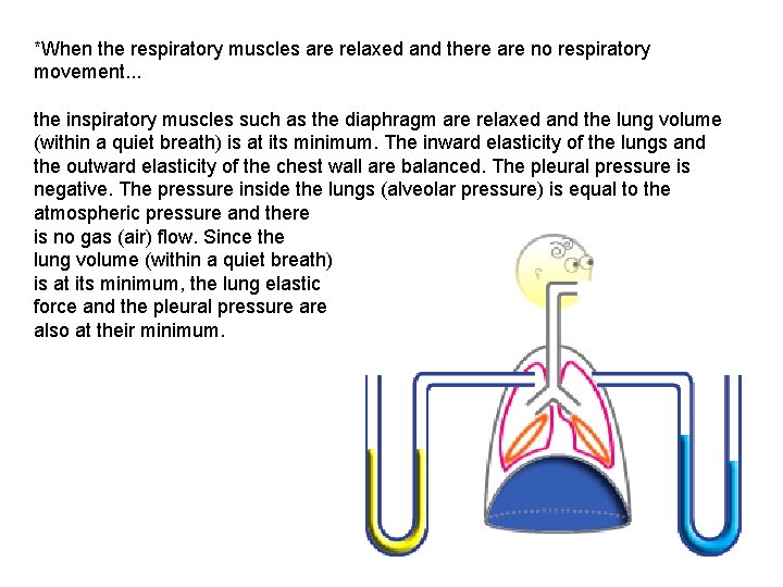 *When the respiratory muscles are relaxed and there are no respiratory movement. . .