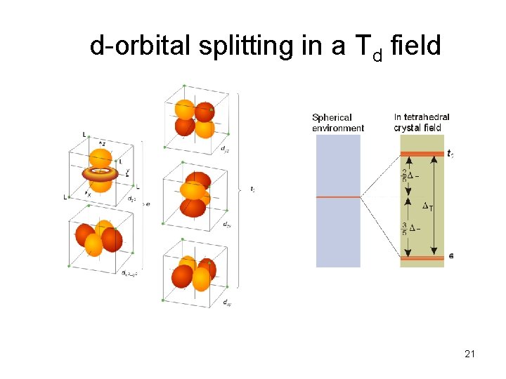 d-orbital splitting in a Td field 21 
