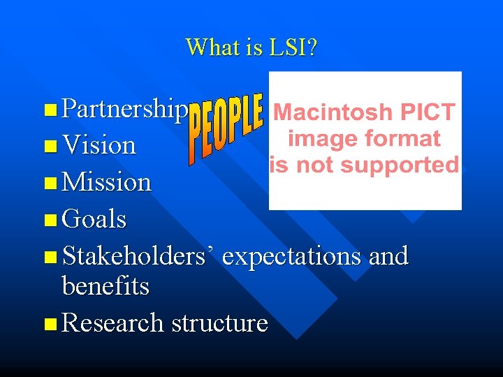 What is LSI? n Partnership n Vision n Mission n Goals n Stakeholders’ expectations