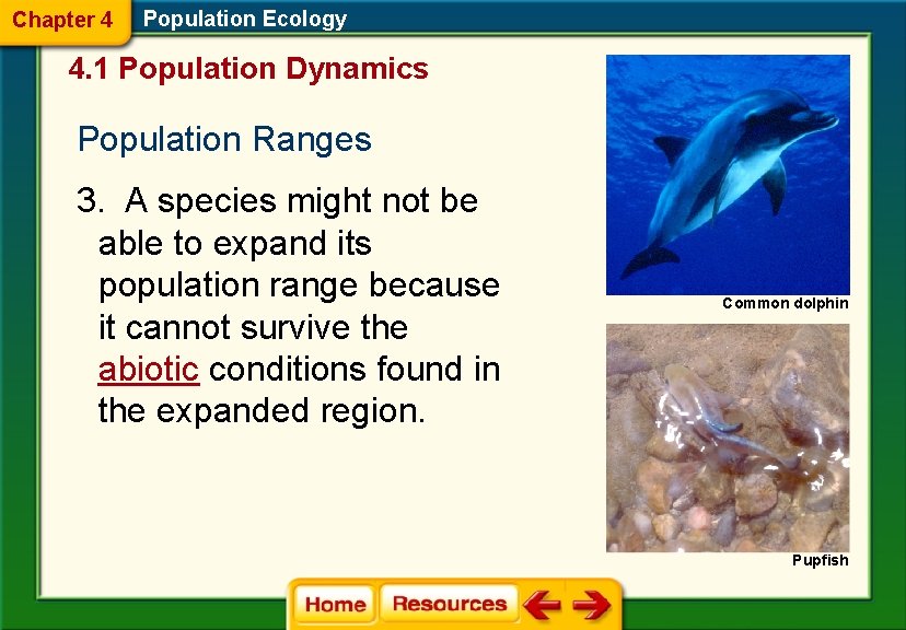 Chapter 4 Population Ecology 4. 1 Population Dynamics Population Ranges 3. A species might