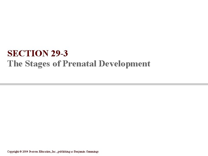 SECTION 29 -3 The Stages of Prenatal Development Copyright © 2004 Pearson Education, Inc. SECTION 29 -3 The Stages of Prenatal Development Copyright © 2004 Pearson Education, Inc.