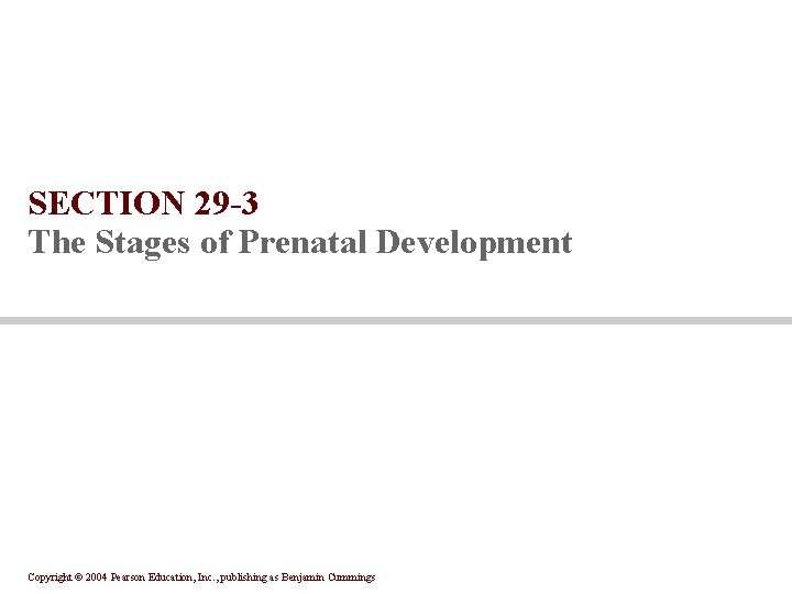 SECTION 29 -3 The Stages of Prenatal Development Copyright © 2004 Pearson Education, Inc.