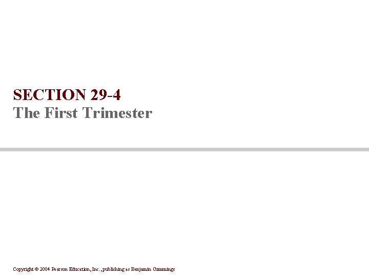 SECTION 29 -4 The First Trimester Copyright © 2004 Pearson Education, Inc. , publishing SECTION 29 -4 The First Trimester Copyright © 2004 Pearson Education, Inc. , publishing
