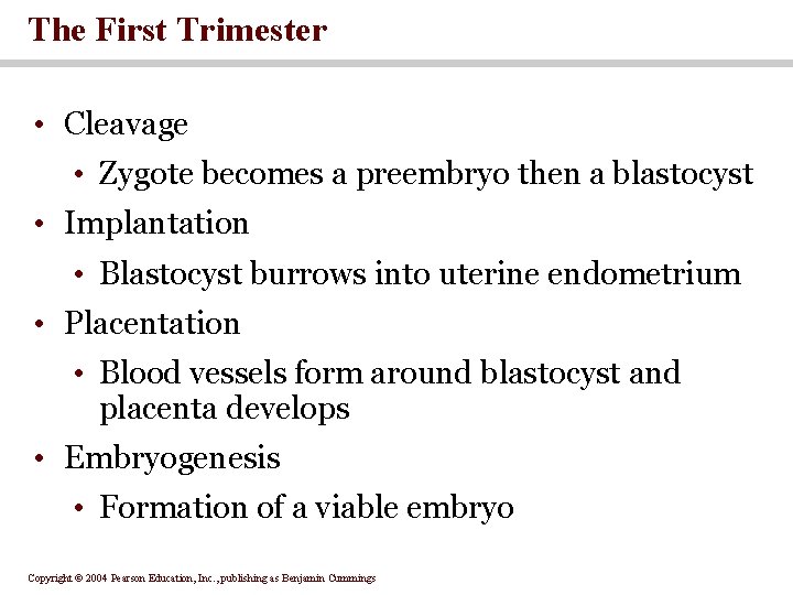 The First Trimester • Cleavage • Zygote becomes a preembryo then a blastocyst • The First Trimester • Cleavage • Zygote becomes a preembryo then a blastocyst •