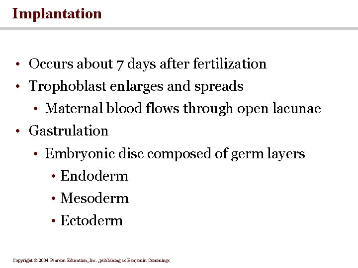 Implantation • Occurs about 7 days after fertilization • Trophoblast enlarges and spreads • Implantation • Occurs about 7 days after fertilization • Trophoblast enlarges and spreads •