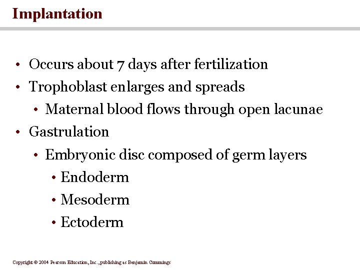 Implantation • Occurs about 7 days after fertilization • Trophoblast enlarges and spreads •