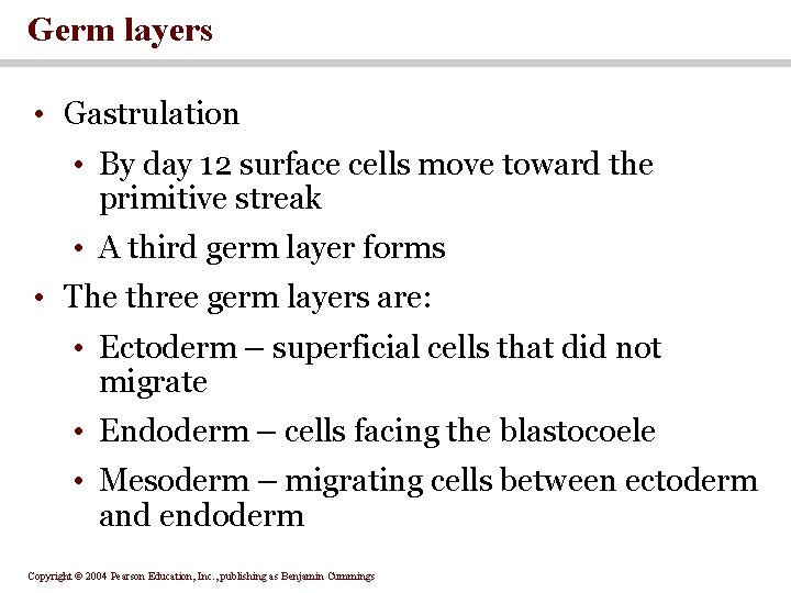 Germ layers • Gastrulation • By day 12 surface cells move toward the primitive Germ layers • Gastrulation • By day 12 surface cells move toward the primitive