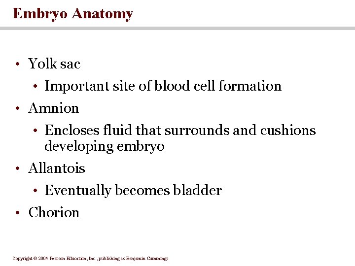 Embryo Anatomy • Yolk sac • Important site of blood cell formation • Amnion Embryo Anatomy • Yolk sac • Important site of blood cell formation • Amnion