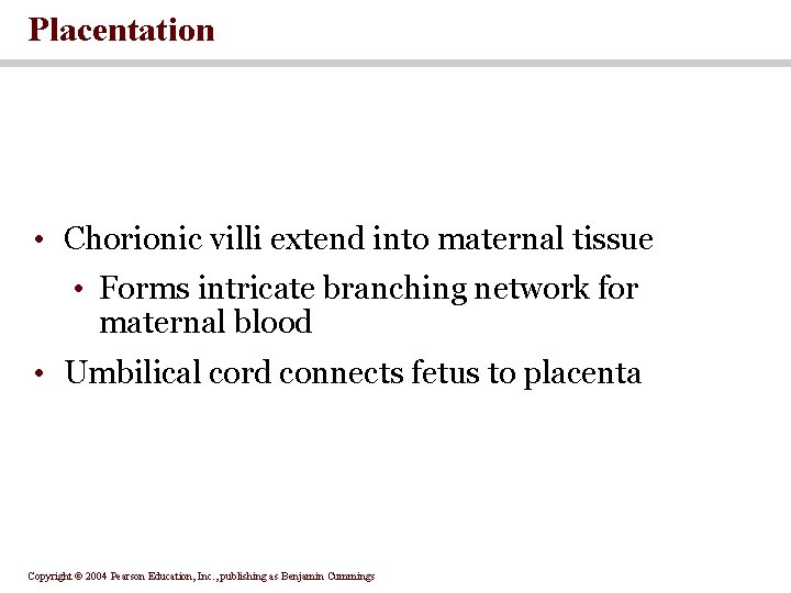 Placentation • Chorionic villi extend into maternal tissue • Forms intricate branching network for Placentation • Chorionic villi extend into maternal tissue • Forms intricate branching network for