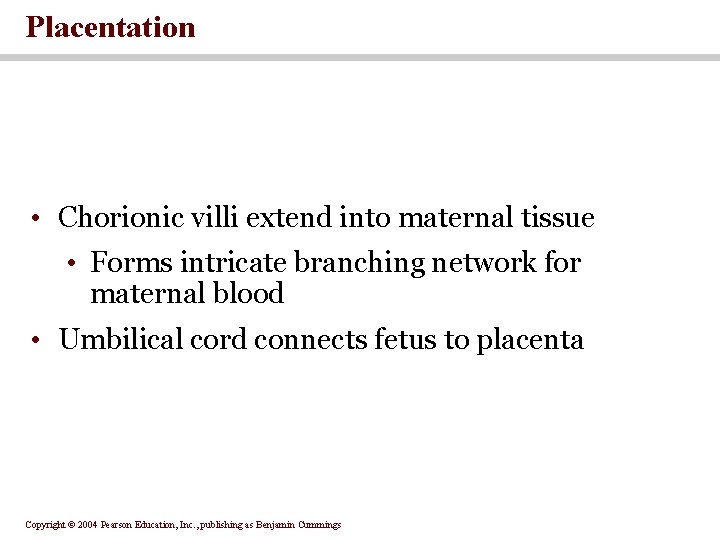 Placentation • Chorionic villi extend into maternal tissue • Forms intricate branching network for