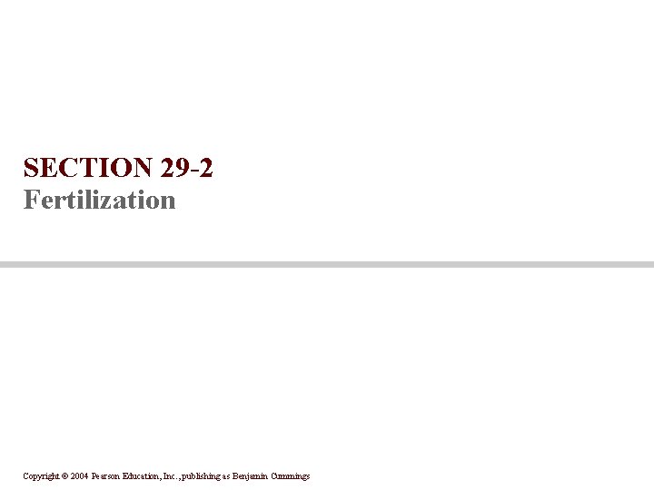 SECTION 29 -2 Fertilization Copyright © 2004 Pearson Education, Inc. , publishing as Benjamin SECTION 29 -2 Fertilization Copyright © 2004 Pearson Education, Inc. , publishing as Benjamin