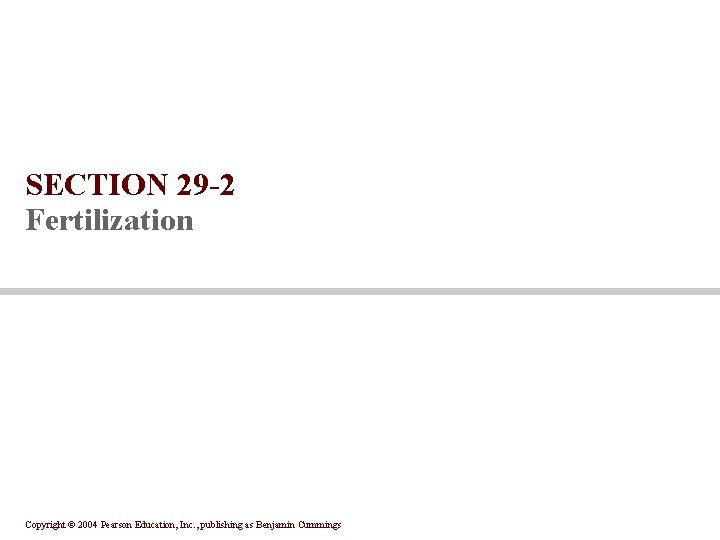 SECTION 29 -2 Fertilization Copyright © 2004 Pearson Education, Inc. , publishing as Benjamin