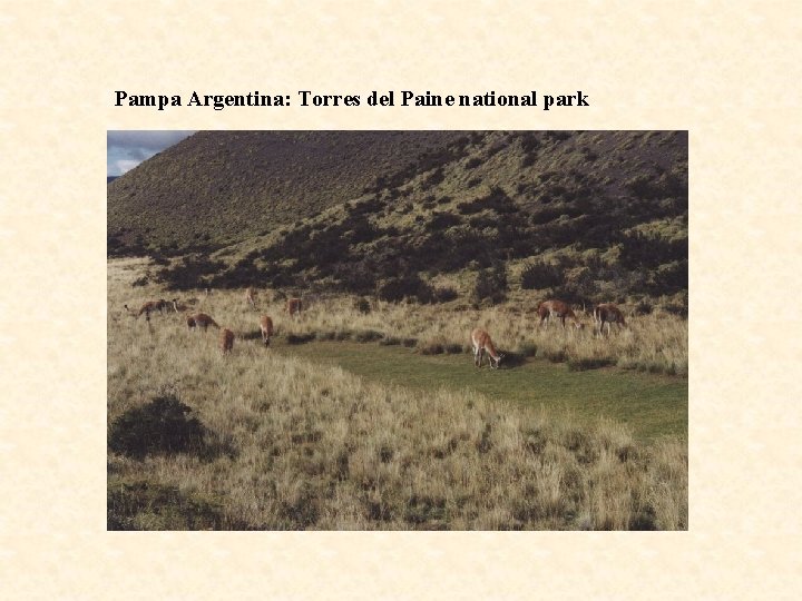 Pampa Argentina: Torres del Paine national park 