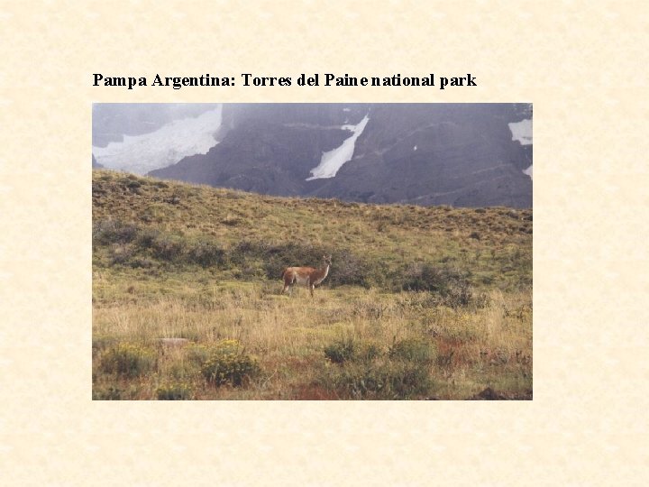 Pampa Argentina: Torres del Paine national park 