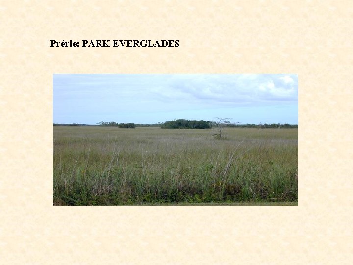 Prérie: PARK EVERGLADES Prérie: PARK EVERGLADES
