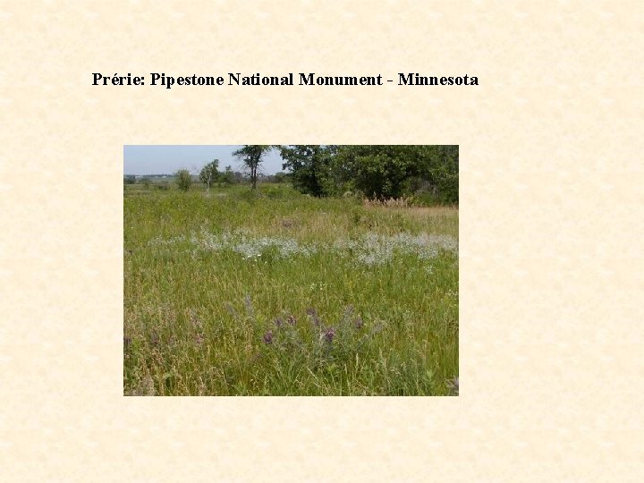 Prérie: Pipestone National Monument - Minnesota 