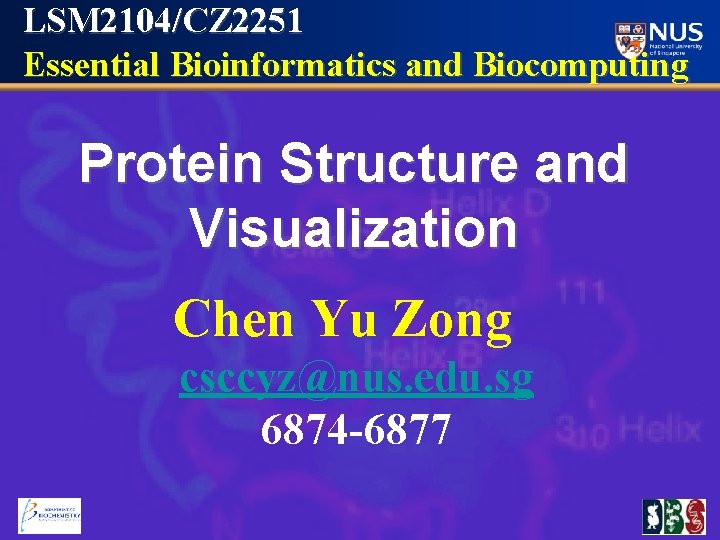 LSM 2104/CZ 2251 Essential Bioinformatics and Biocomputing Protein Structure and Visualization Chen Yu Zong