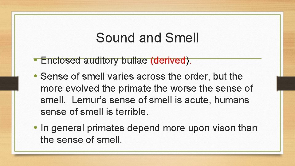 Sound and Smell • Enclosed auditory bullae (derived). • Sense of smell varies across