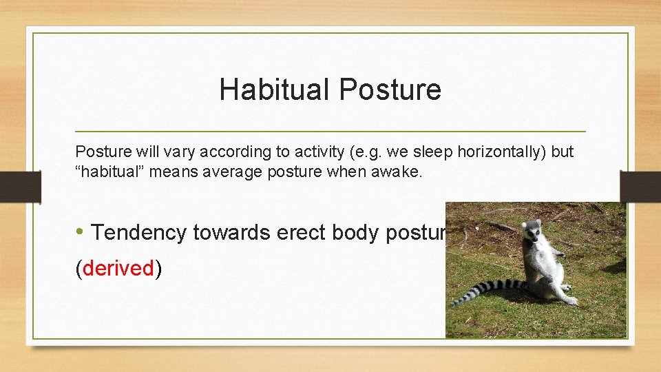 Habitual Posture will vary according to activity (e. g. we sleep horizontally) but “habitual”