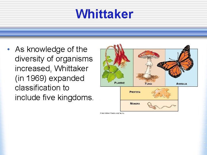 Whittaker • As knowledge of the diversity of organisms increased, Whittaker (in 1969) expanded