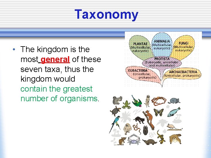 Taxonomy • The kingdom is the most general of these seven taxa, thus the