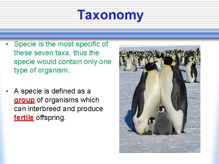 Taxonomy • Specie is the most specific of these seven taxa, thus the specie