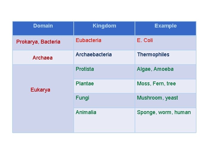 Domain Prokarya, Bacteria Archaea Kingdom Example Eubacteria E. Coli Archaebacteria Thermophiles Protista Algae, Amoeba
