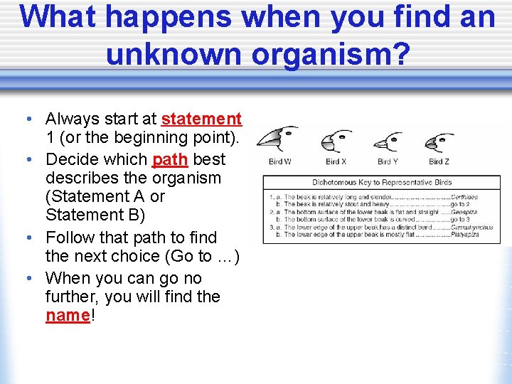 What happens when you find an unknown organism? • Always start at statement 1