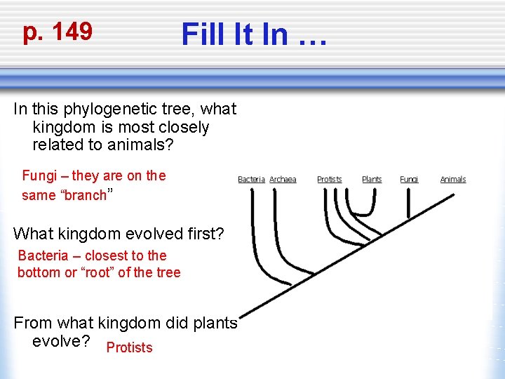 p. 149 Fill It In … In this phylogenetic tree, what kingdom is most