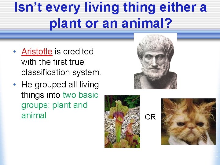Isn’t every living thing either a plant or an animal? • Aristotle is credited