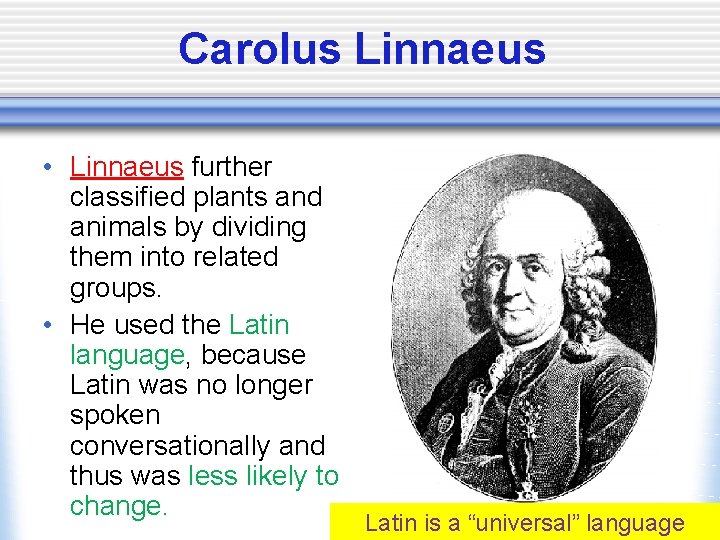 Carolus Linnaeus • Linnaeus further classified plants and animals by dividing them into related