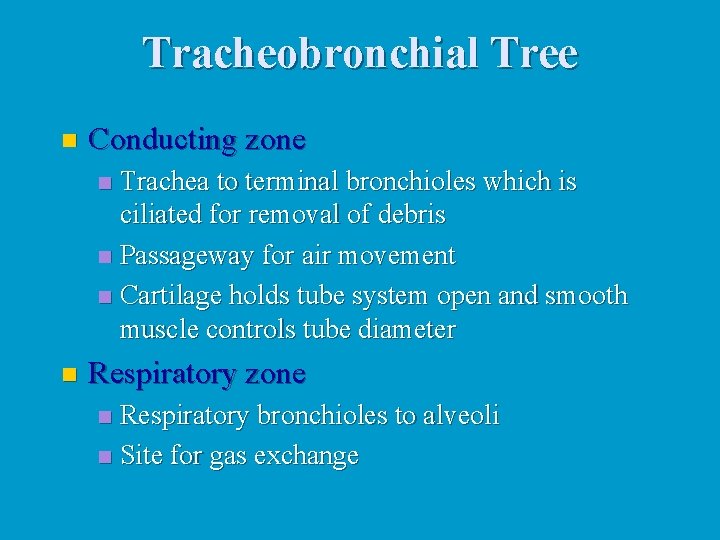 Tracheobronchial Tree n Conducting zone Trachea to terminal bronchioles which is ciliated for removal Tracheobronchial Tree n Conducting zone Trachea to terminal bronchioles which is ciliated for removal