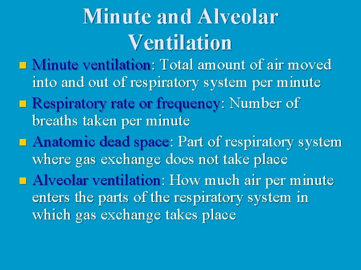 Minute and Alveolar Ventilation Minute ventilation: Total amount of air moved into and out Minute and Alveolar Ventilation Minute ventilation: Total amount of air moved into and out