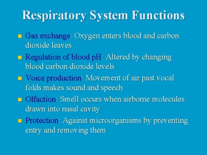 Respiratory System Functions n n n Gas exchange: Oxygen enters blood and carbon dioxide Respiratory System Functions n n n Gas exchange: Oxygen enters blood and carbon dioxide